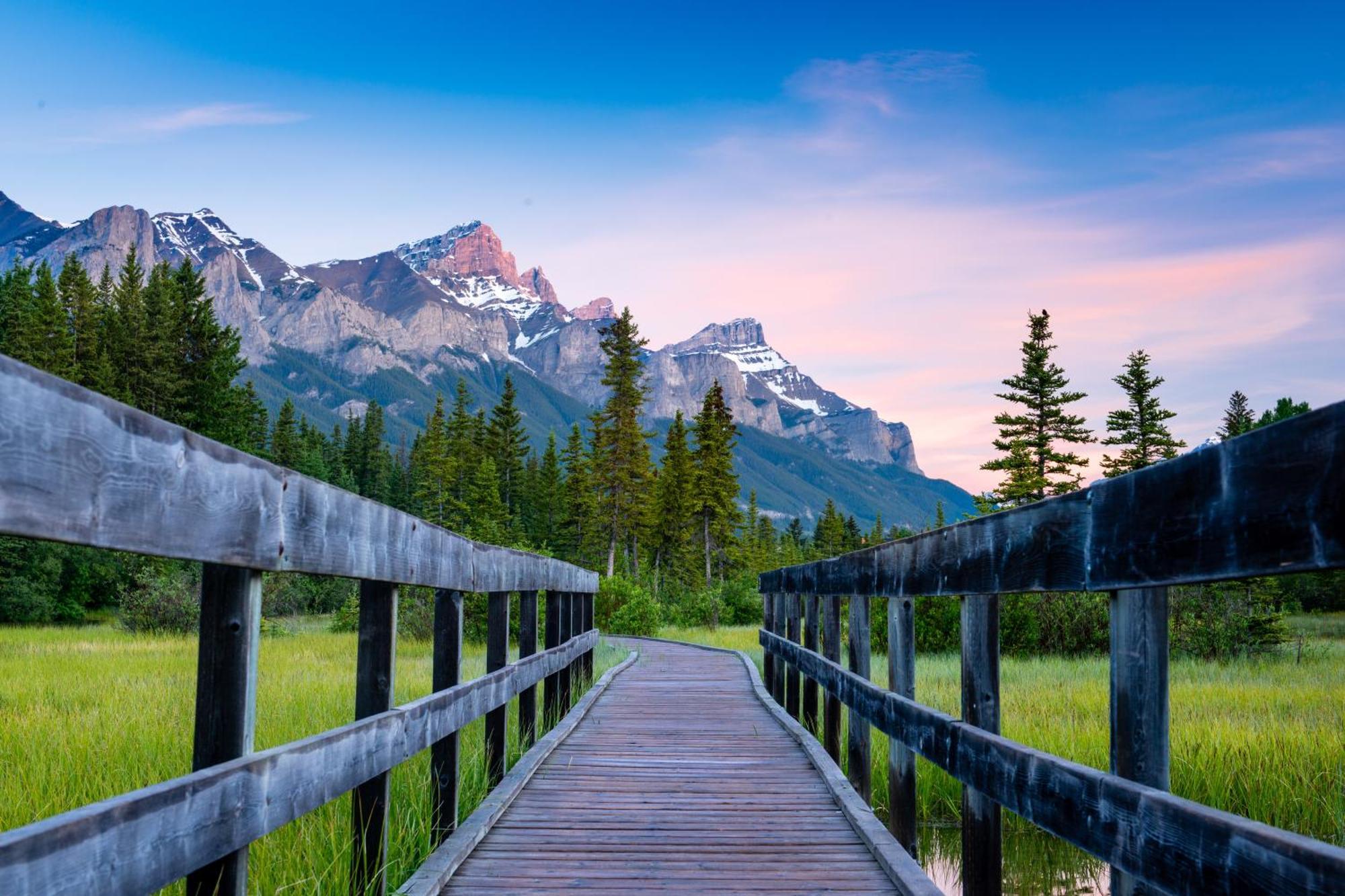 A Bear And Bison Country Inn Canmore Dış mekan fotoğraf
