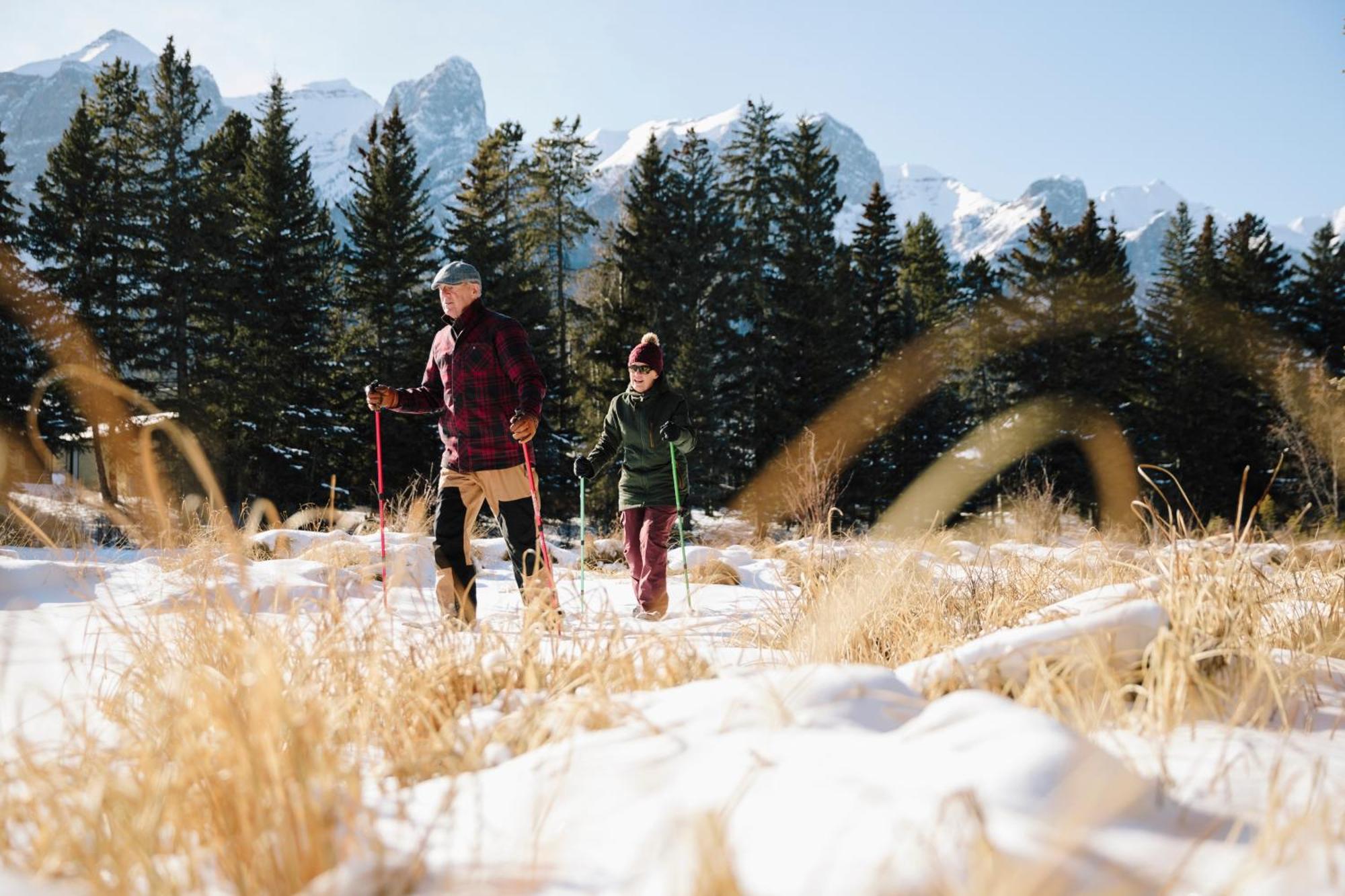 A Bear And Bison Country Inn Canmore Dış mekan fotoğraf