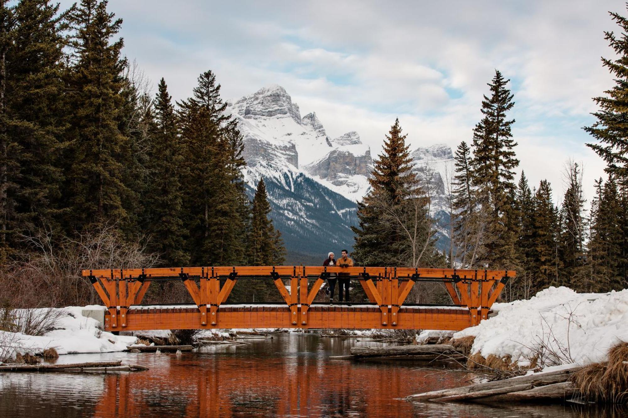 A Bear And Bison Country Inn Canmore Dış mekan fotoğraf