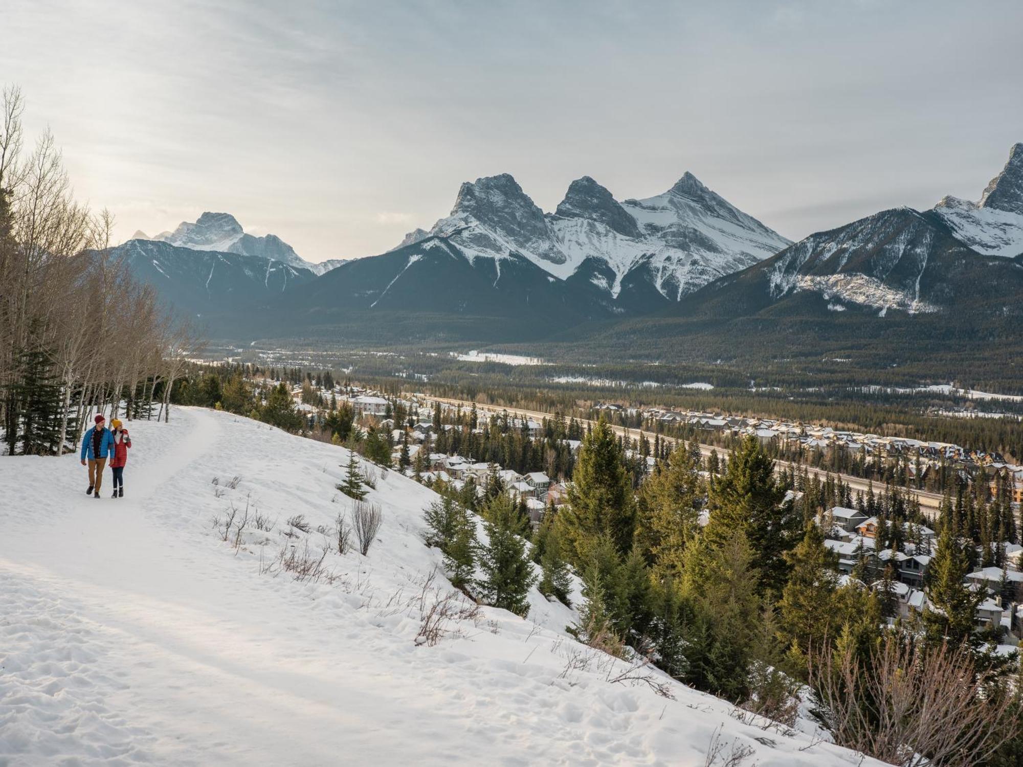 A Bear And Bison Country Inn Canmore Dış mekan fotoğraf