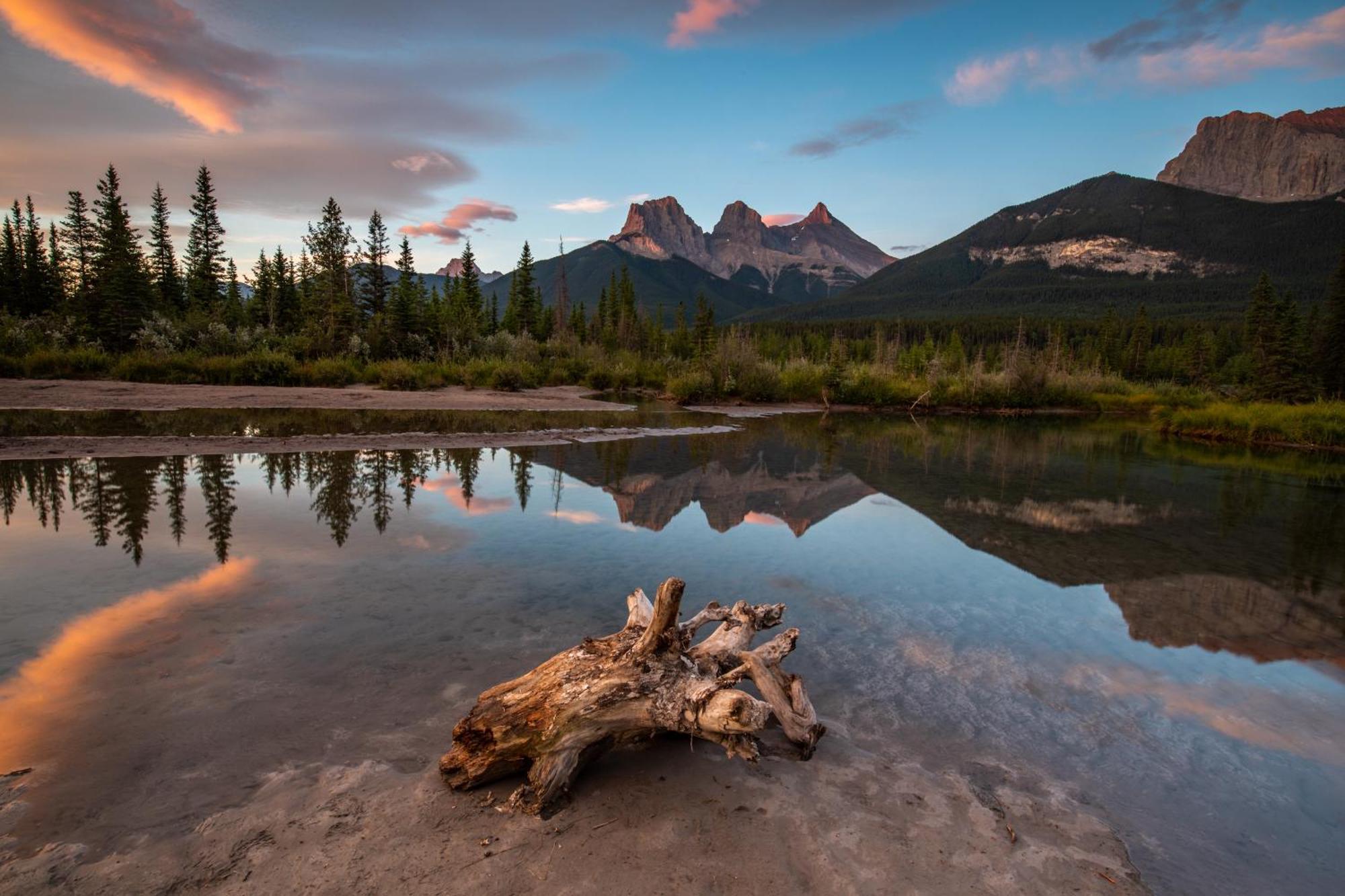 A Bear And Bison Country Inn Canmore Dış mekan fotoğraf